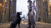Il cane di Fable II: un compagno senza pari