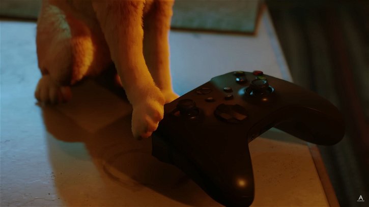 Immagine di Stray, il micio va a farsi un giro su Xbox tra pochissimo