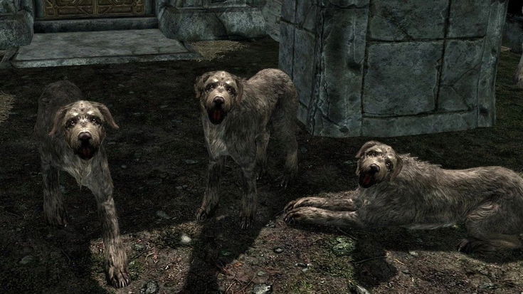 Skyrim, un bug trasforma tutti i personaggi in adorabili cani