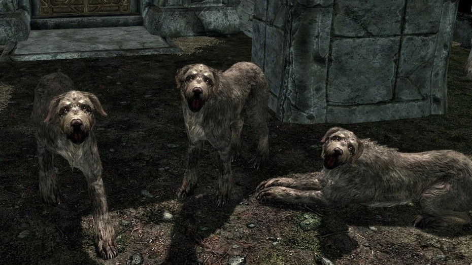 Immagine di Skyrim, un bug trasforma tutti i personaggi in adorabili cani