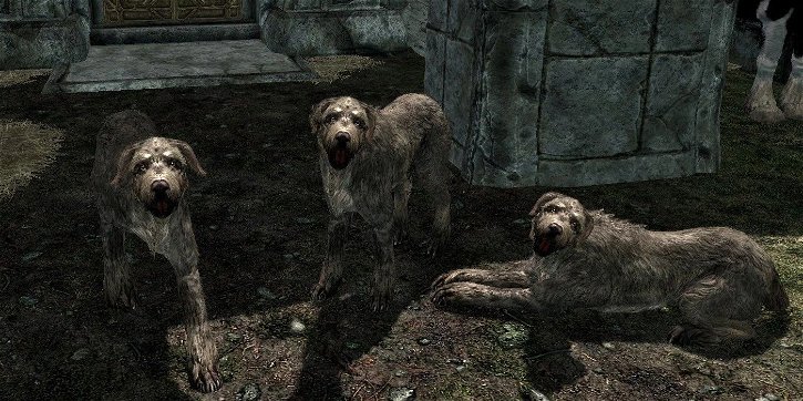 Immagine di Skyrim, un bug trasforma tutti i personaggi in adorabili cani