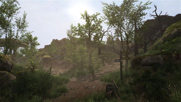 Immagine di Morrowind, il remaster gratis dei fan si mostra ancora