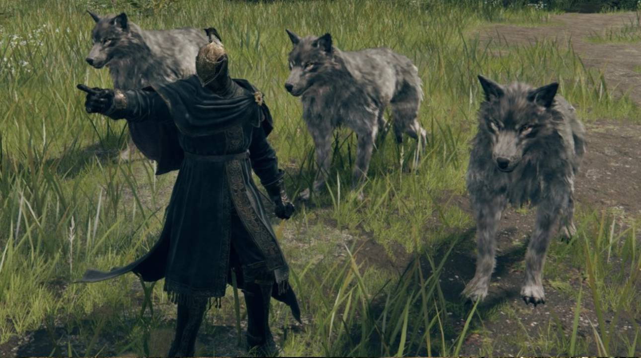 Elden Ring, da ora potete evocare un lupo al vostro fianco, per sempre (grazie ai fan)