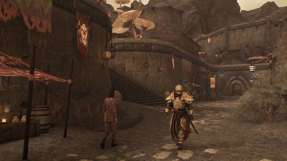 Immagine di Morrowind rivive in Skyrim gratis, grazie ai fan