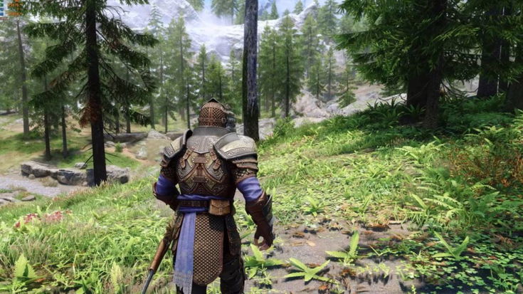 Skyrim diventa sempre più bello, aspettando TES 6