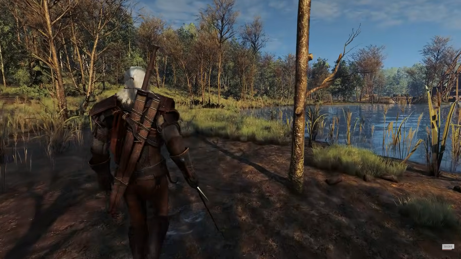 The Witcher 3 diventa quasi un gioco next-gen, grazie ai fan