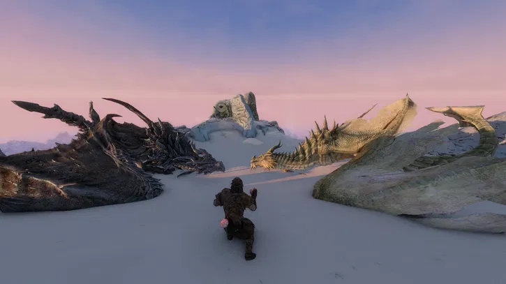 Immagine di Skyrim incontra Pokémon, grazie ai fan, e funziona