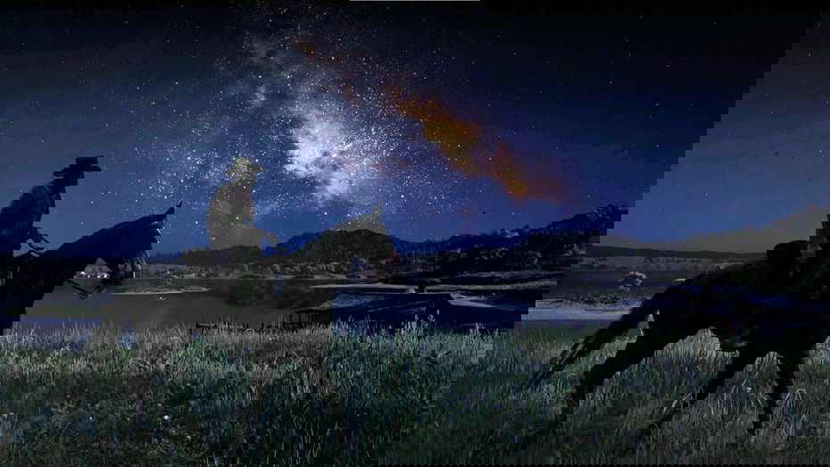 Immagine di Red Dead Redemption 2, non guarderete più le stelle allo stesso modo