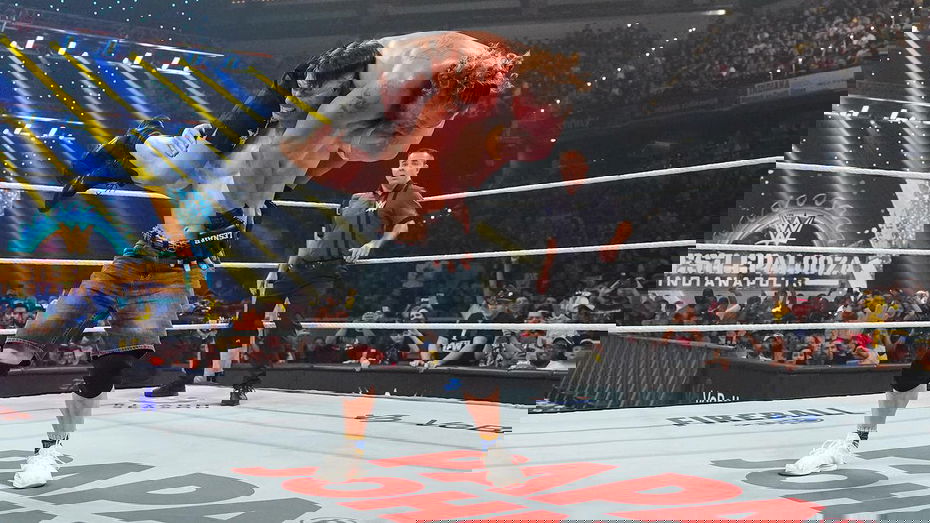 Immagine di I risultati di WWE Wrestlepalooza