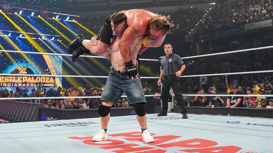 I risultati di WWE Wrestlepalooza