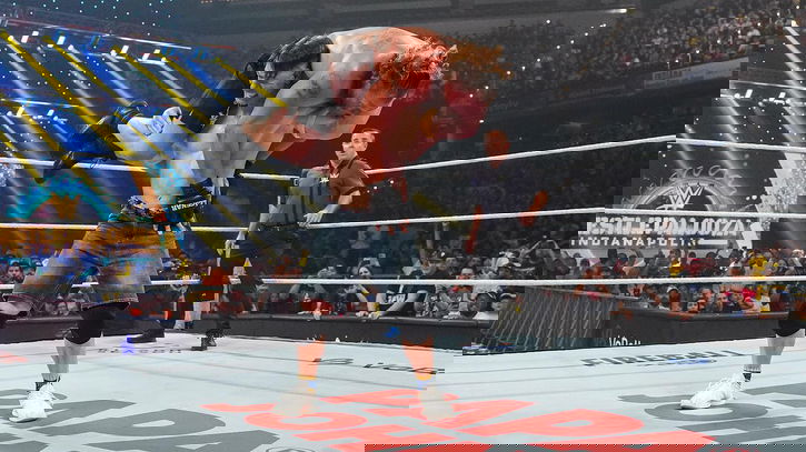 Immagine di I risultati di WWE Wrestlepalooza