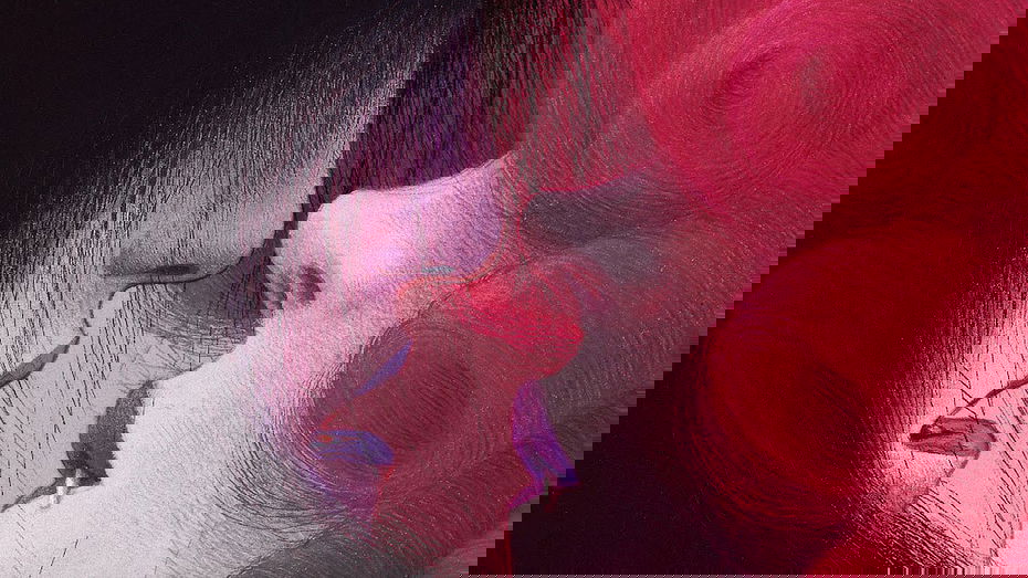 Immagine di Lucca Comics 2025 chiude da record: oltre 280.000 biglietti