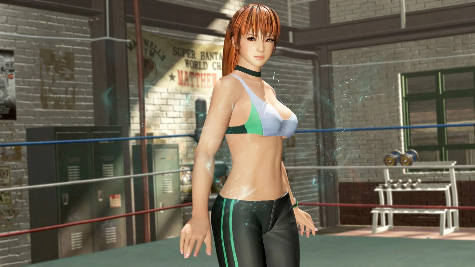 Dead or Alive sta per tornare?