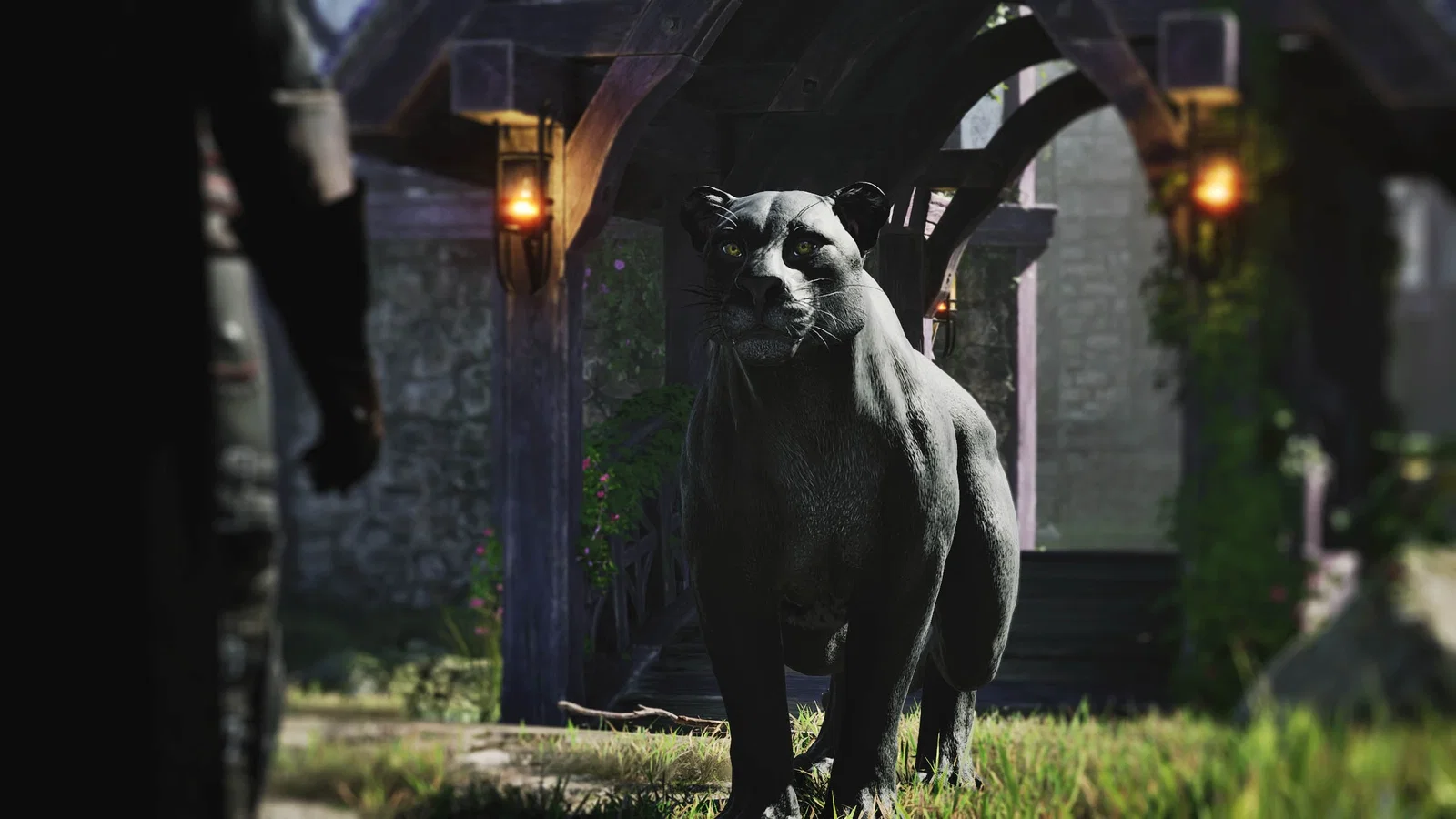 Un nuovo alleato felino arriva in Oblivion Remastered