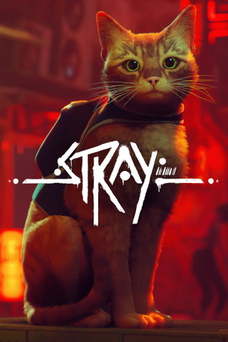 Poster di Stray