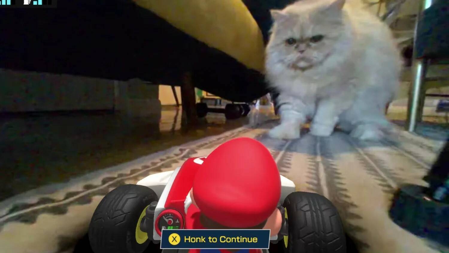 Mario Kart Live Home Circuit non piace un granché a cani e gatti