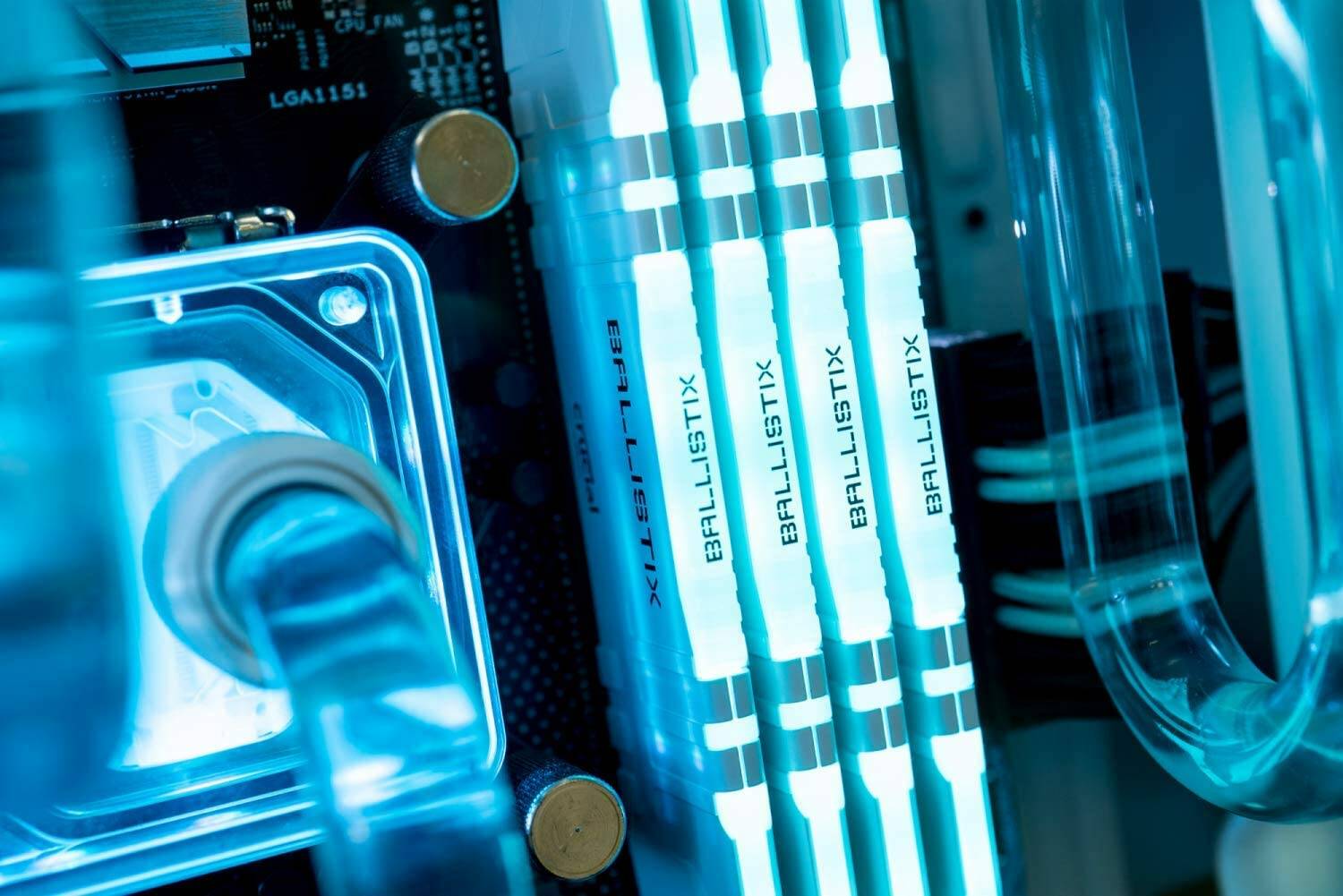 Crucial e Crucial Ballistix, esclusive offerte per la Black Friday Week!