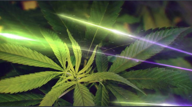 Call of Duty Warzone, un leak svela un DLC a tema... marijuana