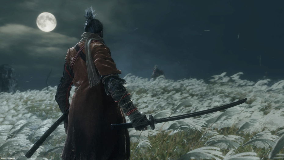 Immagine di Sekiro, giocatore esagera: due boss di fila senza danni