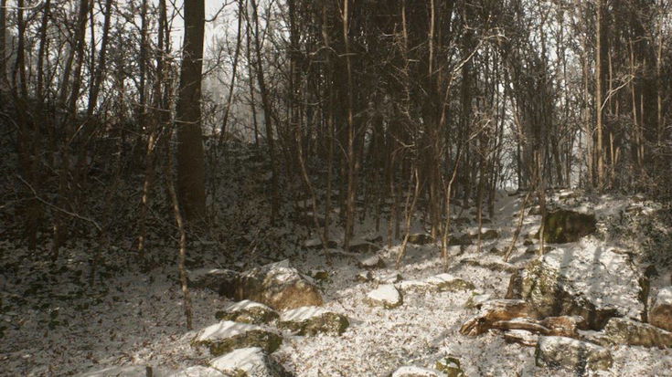 Abandoned, c'è davvero chi ci spera ancora? Il dibattito invade i social