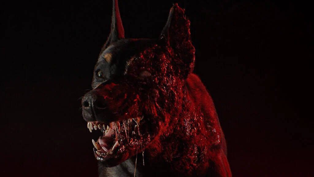 Ora che il film al cinema è uscito, rispunta la serie Netflix di Resident Evil