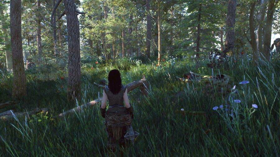 Immagine di Skyrim, qualcuno ha creato la versione next-gen definitiva