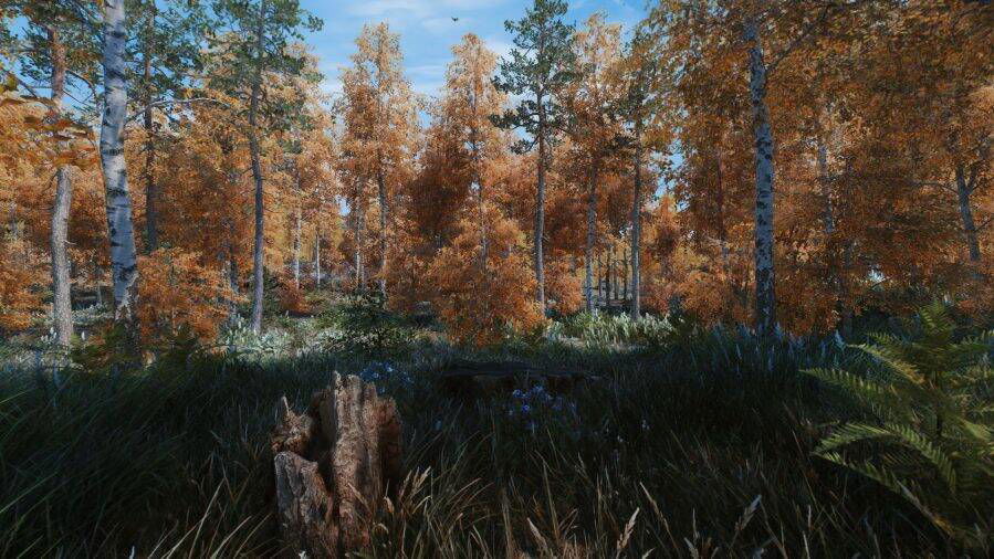 Immagine di Skyrim ci porta nella natura incontaminata, ora ancora più next-gen