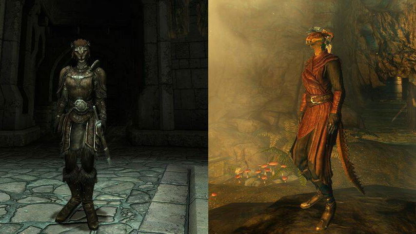 Immagine di Qualcuno ha reintrodotto in Skyrim una (curiosa) caratteristica di Morrowind