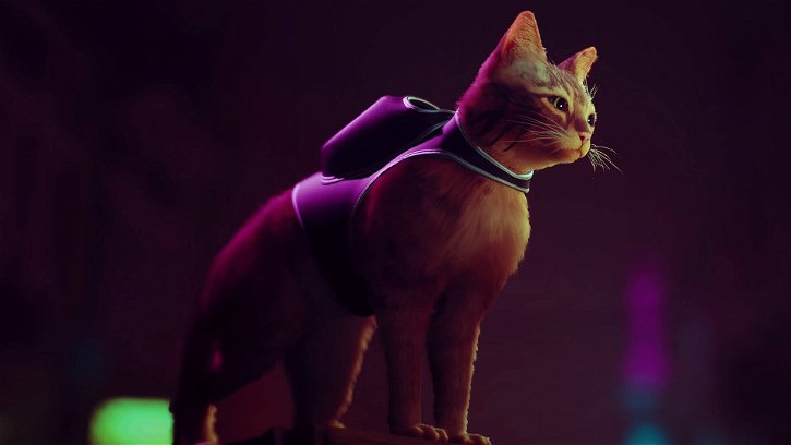 Immagine di Stray, ci siamo quasi: finestra di lancio per il cyberpunk col gatto