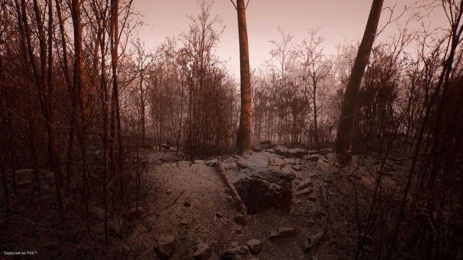 Immagine di Abandoned "ritorna" dopo mesi di silenzio: Blue Box risponde a Kojima