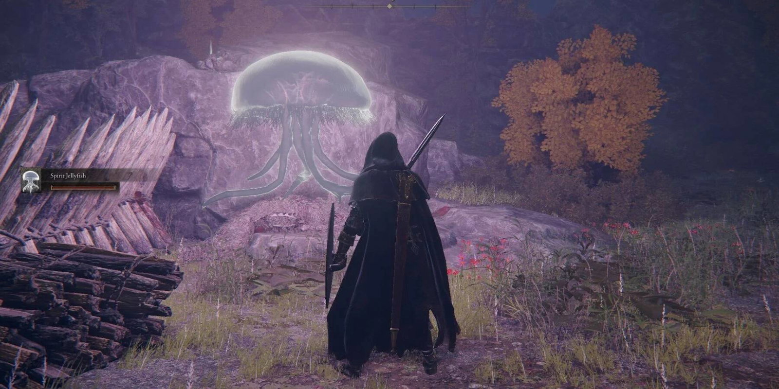 Elden Ring, scoperto un commovente e tragico segreto sulle meduse