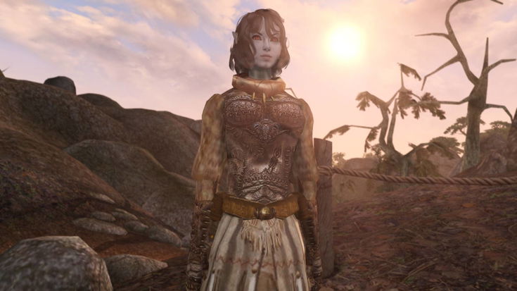 Morrowind diventa un gioco multiplayer VR, grazie ad una nuova mod