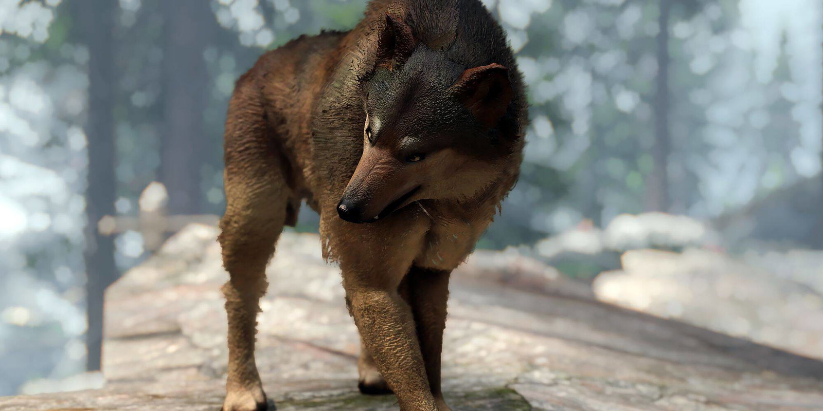 Skyrim, dopo aver visto questo non guarderete più i lupi con gli stessi occhi