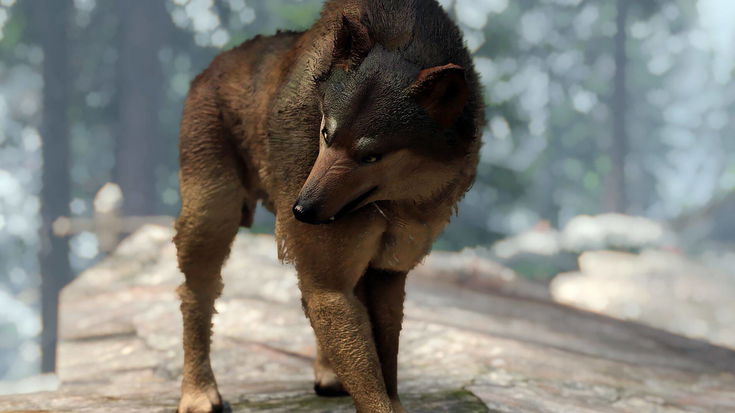 Skyrim, dopo aver visto questo non guarderete più i lupi con gli stessi occhi