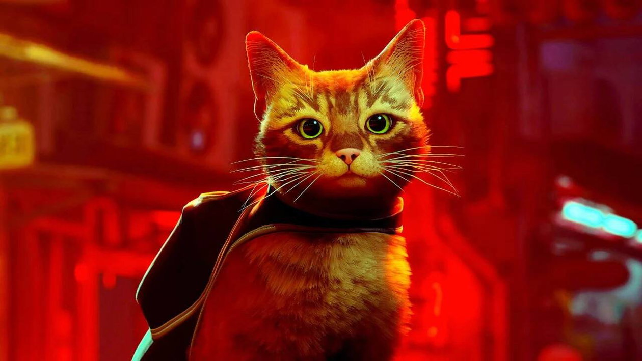 Immagine di Stray per PS5, miglior indie dell'anno, ora con uno sconto del 22%