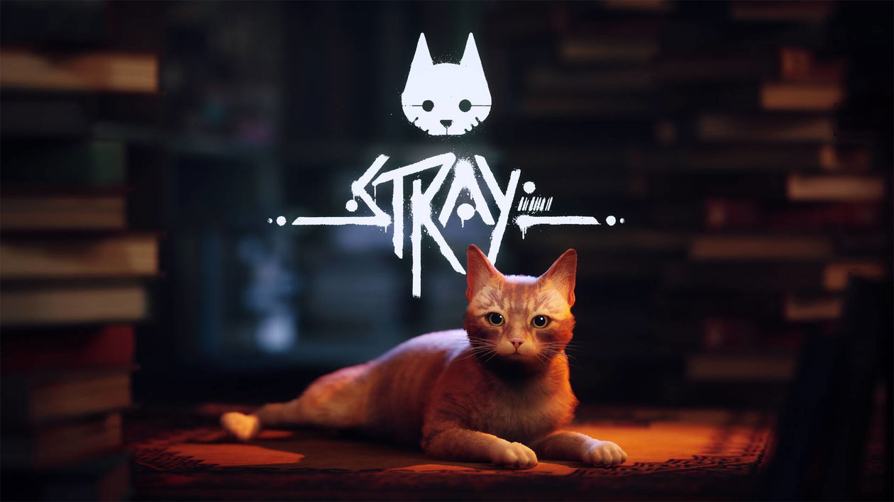 Immagine di Stray | Recensione - Il destino di un micio nel mondo di domani