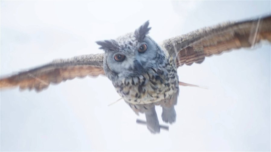 Immagine di Hogwarts Legacy, il nuovo trailer in-engine ci invita nel mondo magico