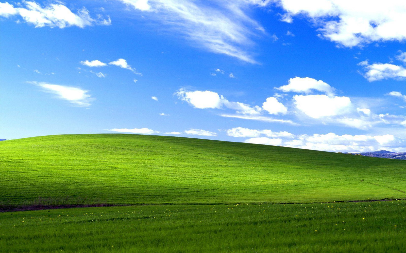Un giocatore ha trovato lo sfondo di Windows XP in Forza Horizon 4
