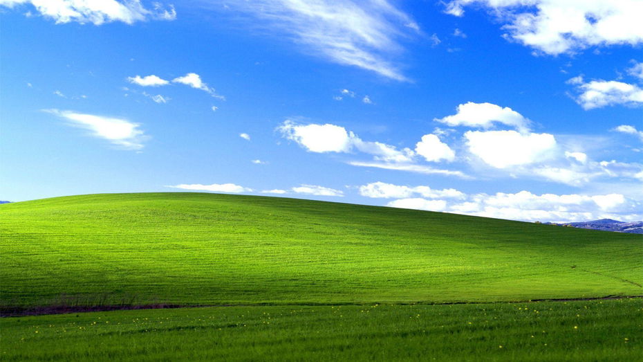 Immagine di Un giocatore ha trovato lo sfondo di Windows XP in Forza Horizon 4