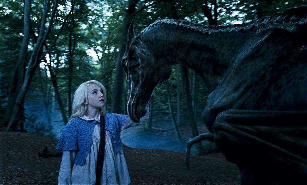 I Thestral - Storia della Magia per Babbani