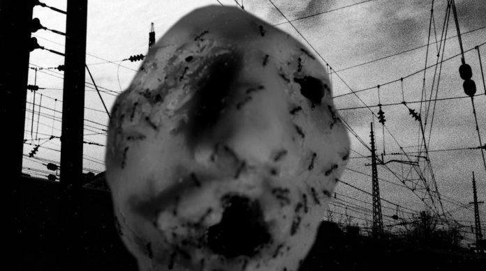 Immagine di Ant Head: ecco il nuovo cortometraggio di David Lynch