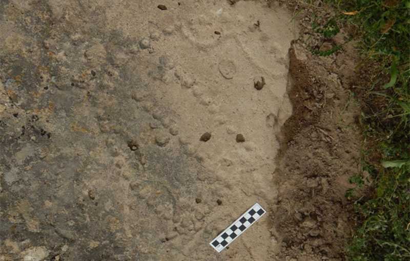 Immagine di Archeologi scoprono un gioco da tavolo di 4.000 anni fa