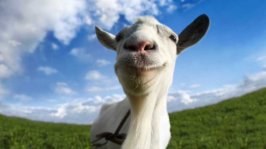 Goat Simulator The GOATY è ora disponibile per Switch in edizione fisica