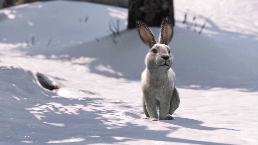 Immagine di Il povero coniglietto di The Last of Us fa divertire Neil Druckmann