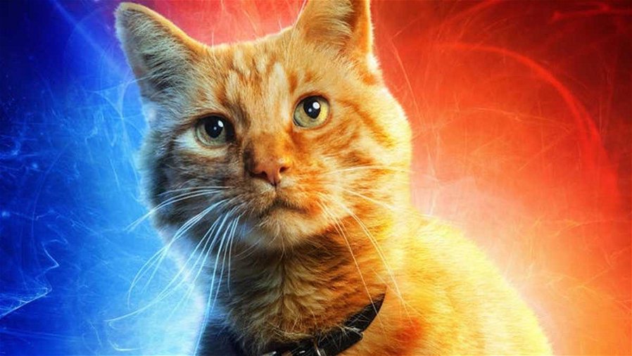 Immagine di Captain Marvel, lo spin-off sul gatto Goose si farà?