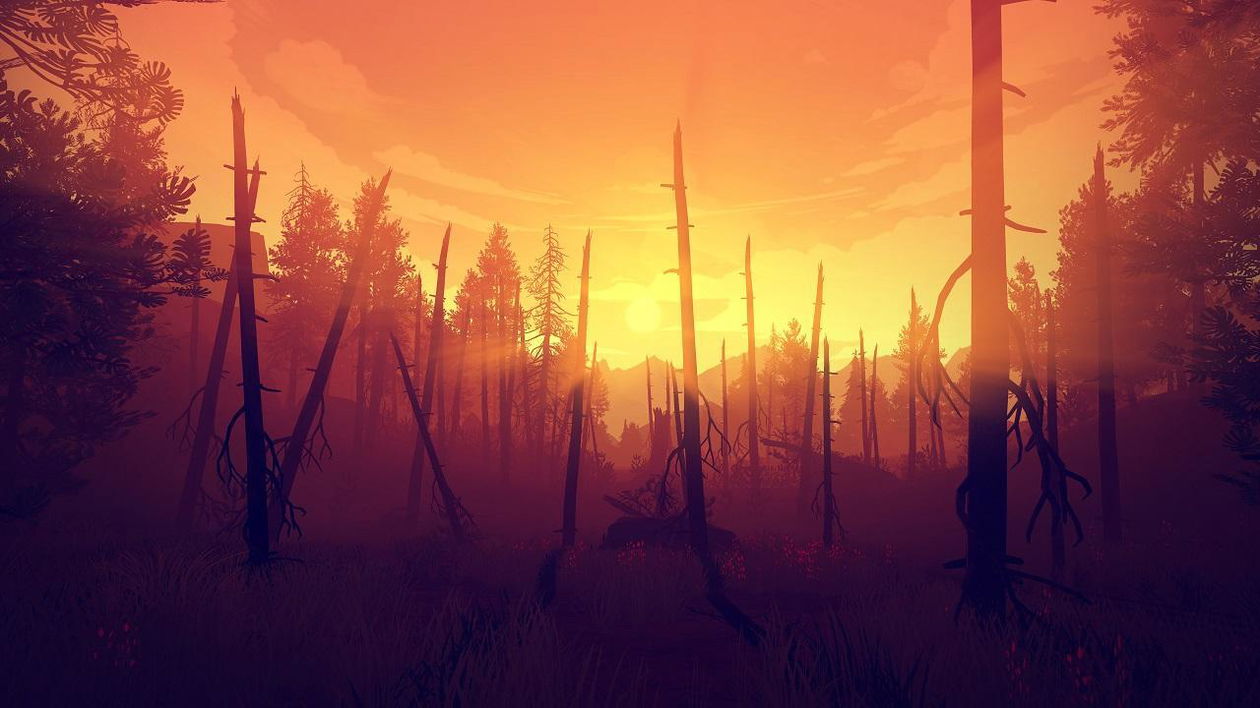 Immagine di Firewatch e i misteriosi libri perduti