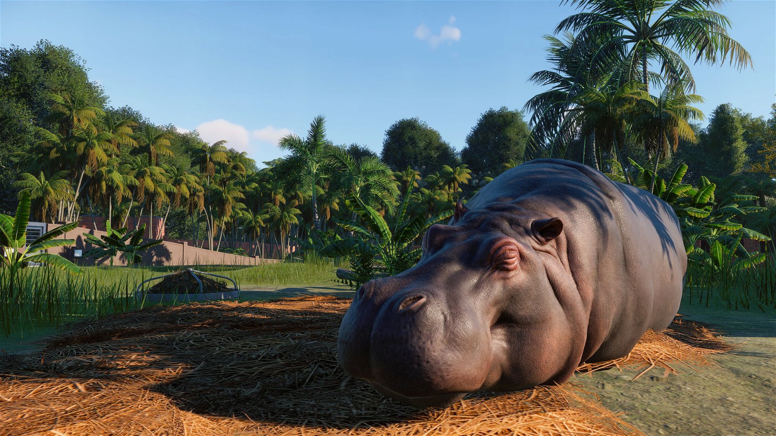 Planet Zoo, nuovo trailer dalla Gamescom