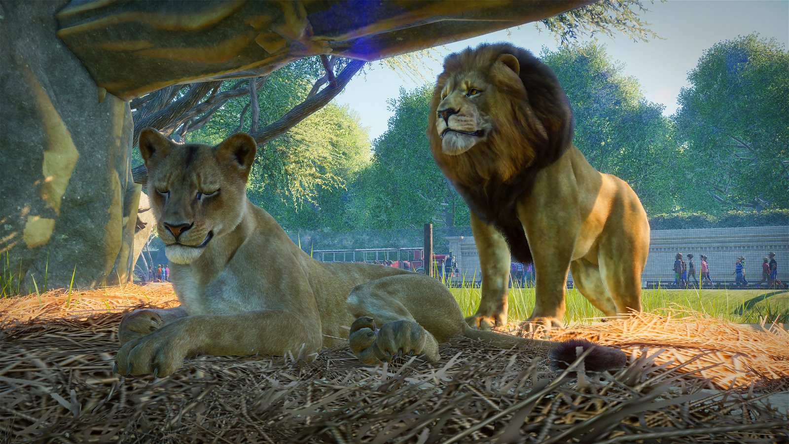 Planet Zoo: Primo video gameplay dall'E3 2019