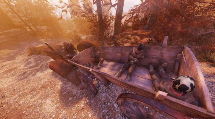 Fallout 76 contiene un omaggio a un MEME di Skyrim