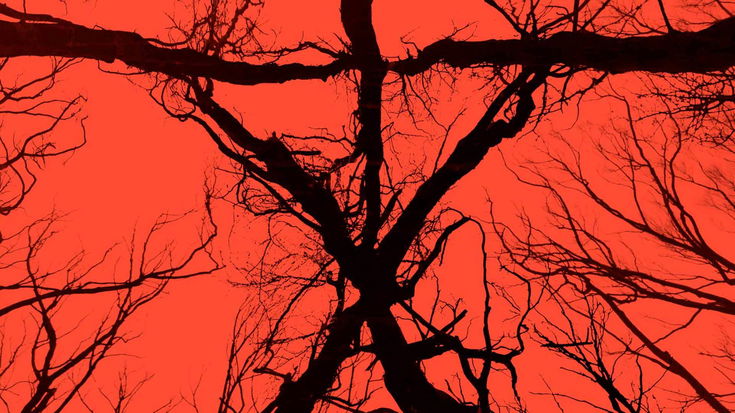 Blair Witch arriverà su Switch il prossimo mese